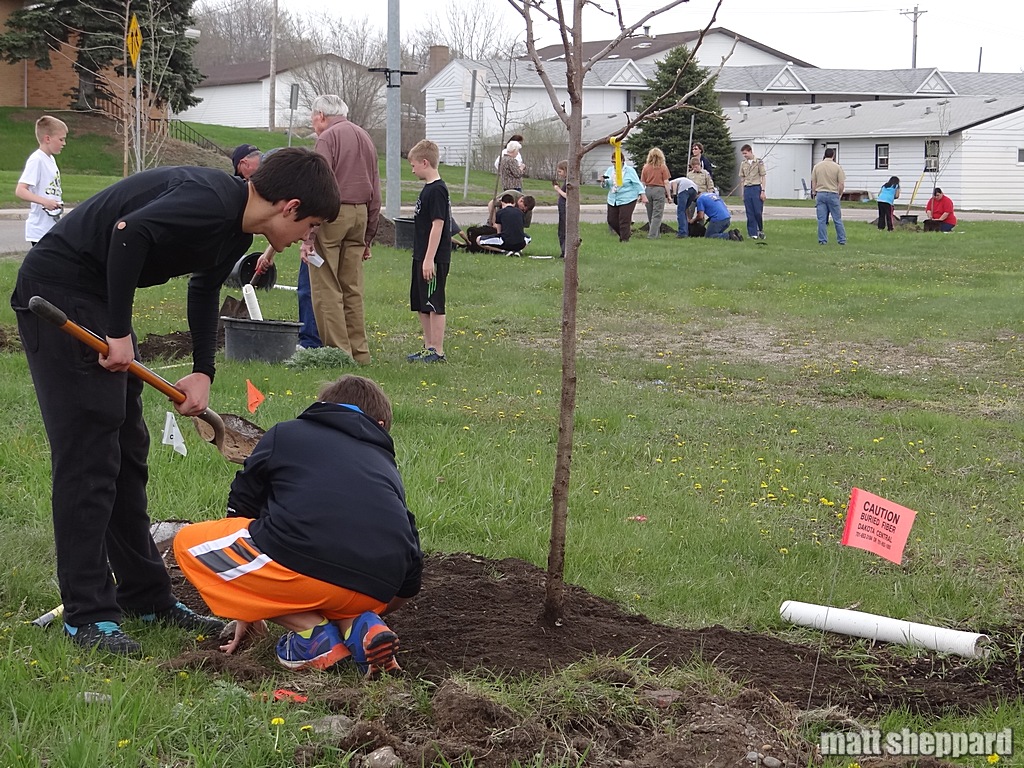 Trees round the bend at 10th St SE & 12th Ave